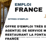 Offre d’emploi très détaillée : Agent(e) de Service Ménage – Restaurant La Fontaine d’Or – France