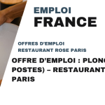 Offre d’emploi : Plongeur (4 postes) – Restaurant Rose Paris